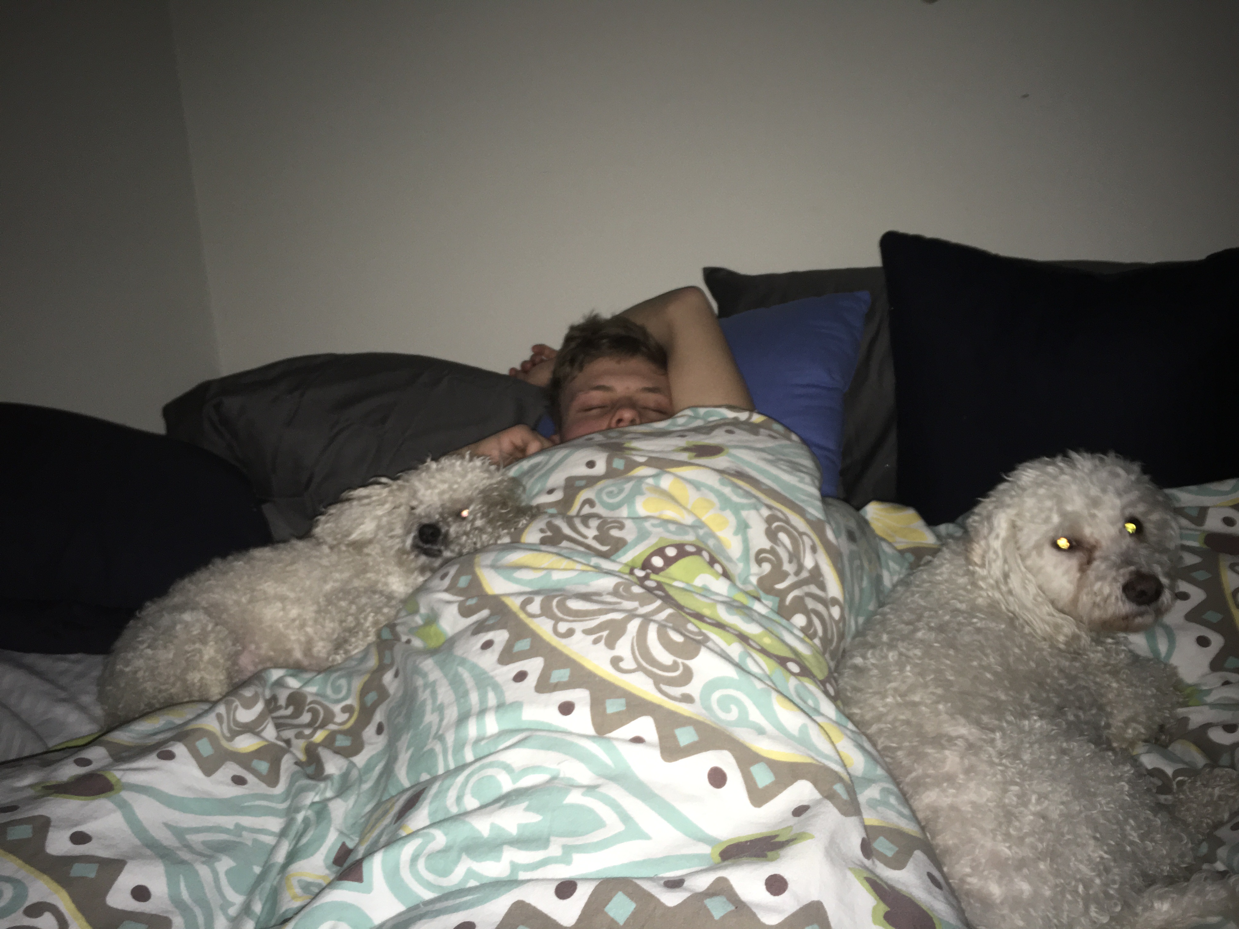 This is an image of Joel and my two dogs